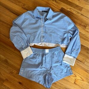 Zara Blue Striped Button Down Shirt
